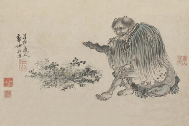 De Vijf Elementen in een notendop